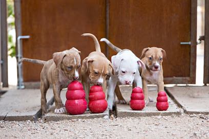 Pets of Sandgate