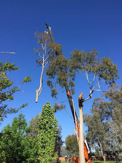 Photo of Bradsworth Tree Services & Contracting