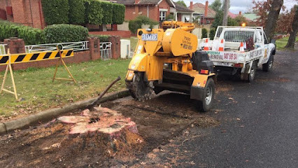 Albury Wodonga Tree Stump Removal