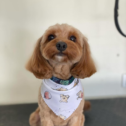 Photo of Shampooch Pet Sitting