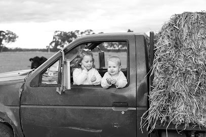 Meg Gibbs Photography