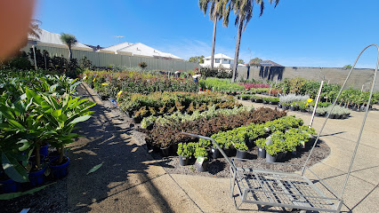 Photo of Landsdale Plants