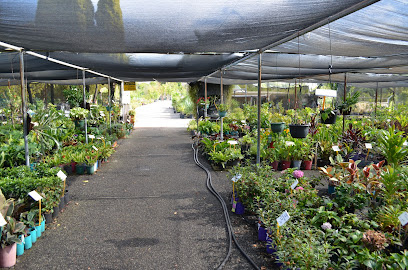 Photo of Advanced Nursery