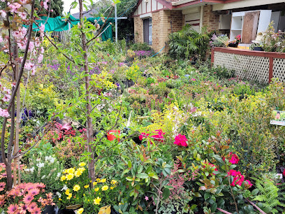 Photo of Pot Plant Heaven Perth