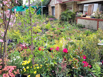 Pot Plant Heaven Perth
