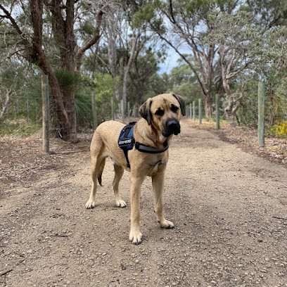 Perth Paws And Tails