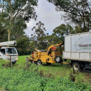 Photo of Treeswest Australia Pty Ltd
