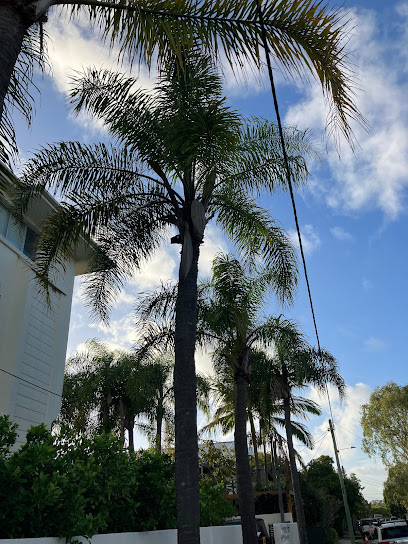 Tree Removal & Tree Loppers Perth