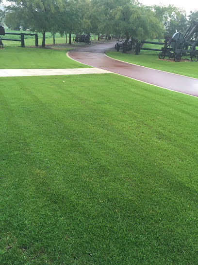 Photo of Positively Green