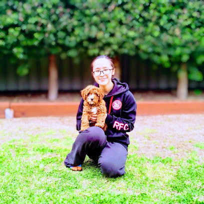 The Sydney Dog Trainer: Dog Behaviour & Training Expert
