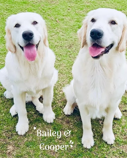 Photo of Bark Busters In Home Dog Training Perth North & East & South
