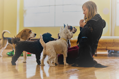 Madame Ma's Doggie Daycare & Grooming