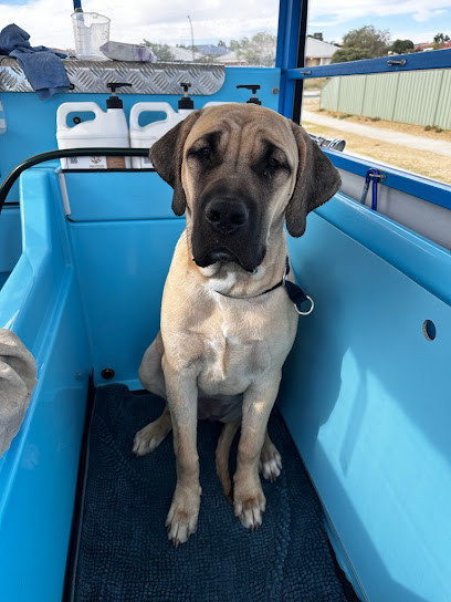 Aussie Pooch Mobile Dog Wash