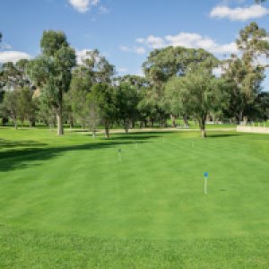 Photo of Hamersley Public Golf Course