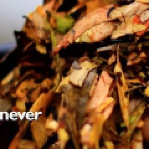 Photo of Gutter-Vac Perth