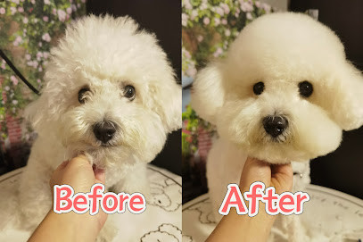 Wagging pet grooming