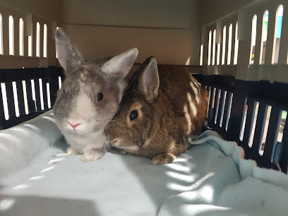 Adelaide Bird & Exotics Vet Centre