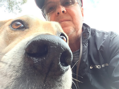 Dog-Gone Walking & Pet Minding