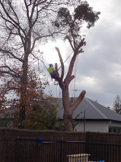 SA Tree Recyclers - Tree Removal Adelaide