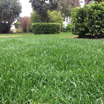 The Adelaide Lawn Specialists