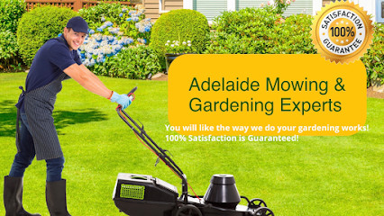 Like Mowing Services Group| lawn mowing and Garden Services Adelaide