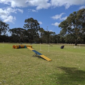 Photo of Southern Districts Kennel and Obedience Dog Club