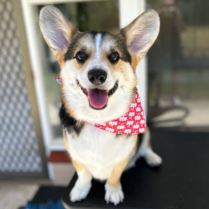 Dog Love Grooming