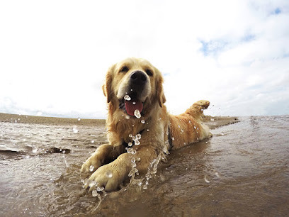 Oscar's on Unley - Dog Grooming Adelaide
