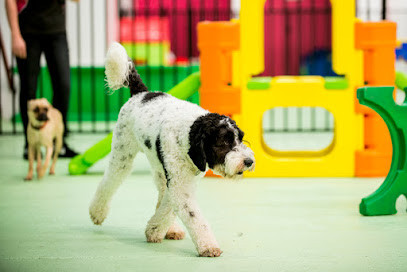 Paw by Paw Playhouse Dog Grooming & Daycare