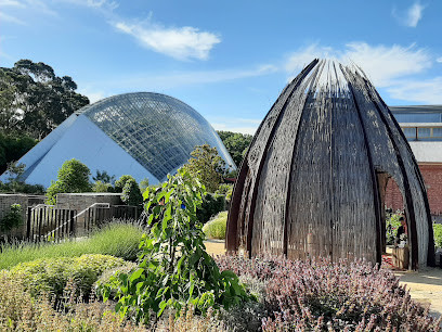 Adelaide Botanic Garden