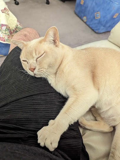 ACT Home Pet Care