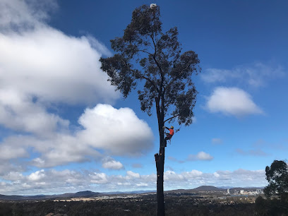Photo of Priority Tree Care