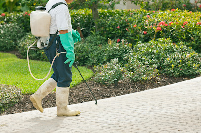 Quality One Pest Control Canberra