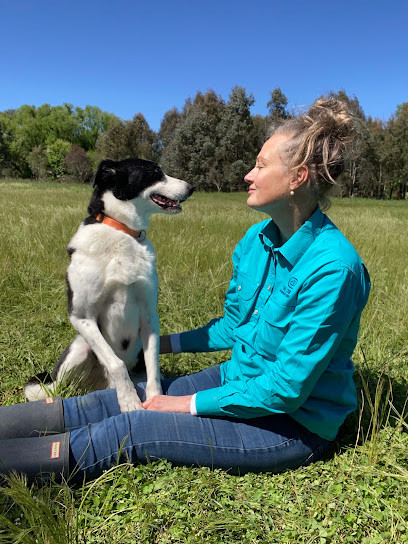 Canine Behaviour Academy