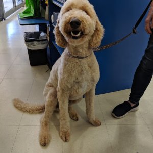 Photo of PetO Fyshwick (formerly Best Friends Pets)