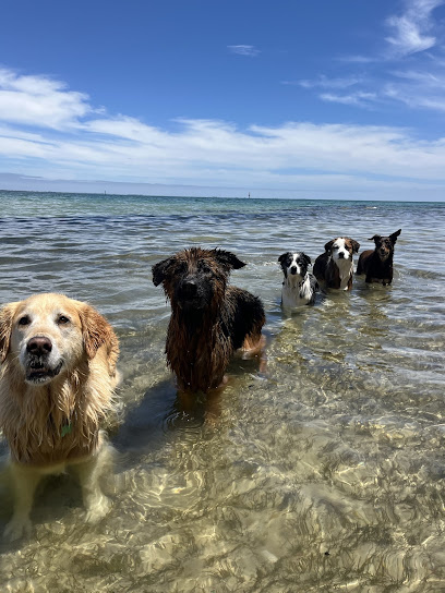 Photo of Got Ya Dog