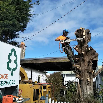 Armitage Tree Services