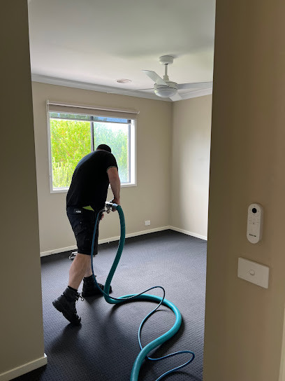 Wow Clean Carpets