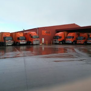 Photo of Allied Moving Services