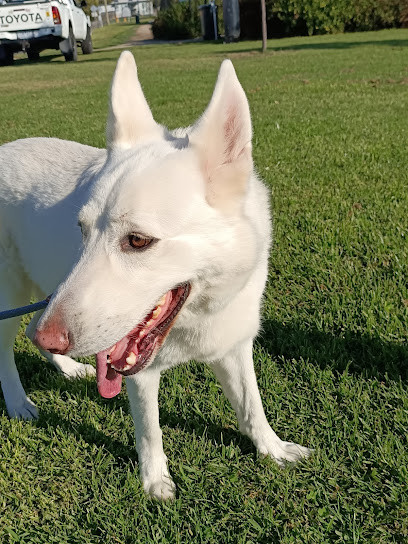 Natural Dog Training Australia