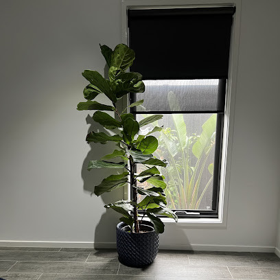 Geelong Roller Blinds