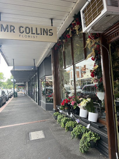 Photo of Mr Collins Florist