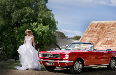 Mustang & Co.