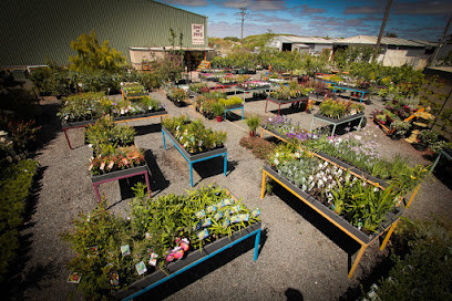 Spot on Pots and Nursery
