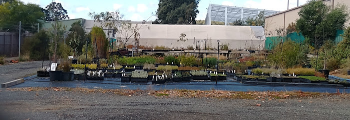 Ballarat Wild Plants