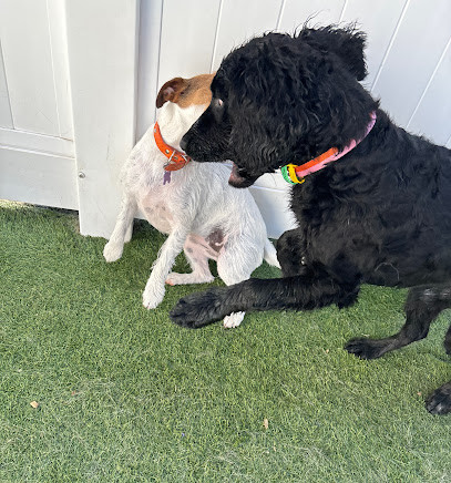 Ballarat Diggiddy Doggy Daycare