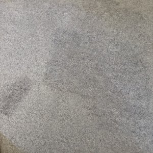 Photo of Clean as a Whistle