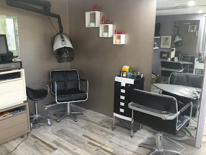 Snipp Teeze Mobile Hair & Beauty Specialists
