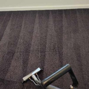 Photo of Ballarat Total Carpet Cleaning