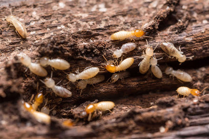 Verminate Pest Control